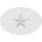Ekena Millwork Standard Dalton Star Rosette With Square Edge, 6"W x 4"H x 3/4"P ROSP060X040X075DAL06 - alternate 4
